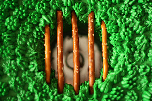 Leprechaun Trap Cake by Not Martha Rainbow Cake