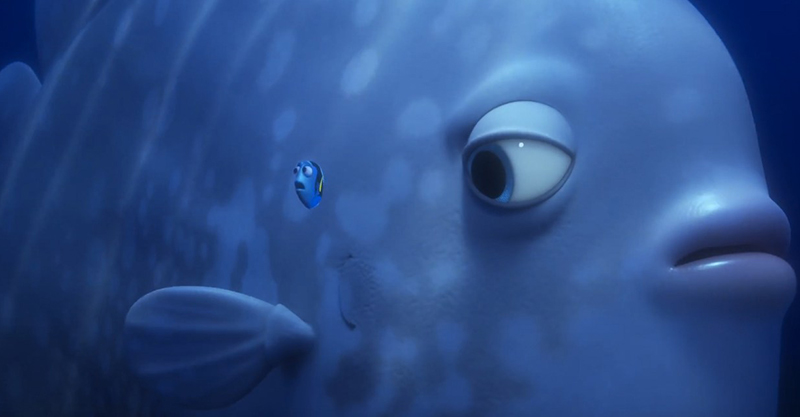 Take A Look At The Latest Trailer Of Pixars Finding Dory Film 9474