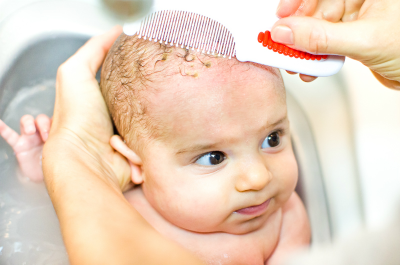 baby bath stock sl comb cradle cap