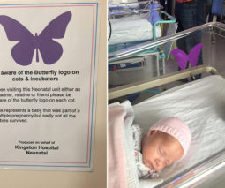 Purple butterfly stickers - Skye High Foundation - feature