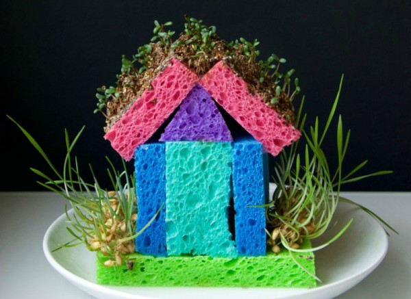 Entertain-Kids-sprout-house-project