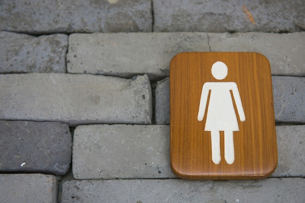 Female toilet signs wood on the wall