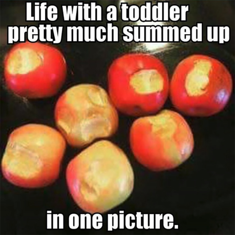 toddler and apples meme