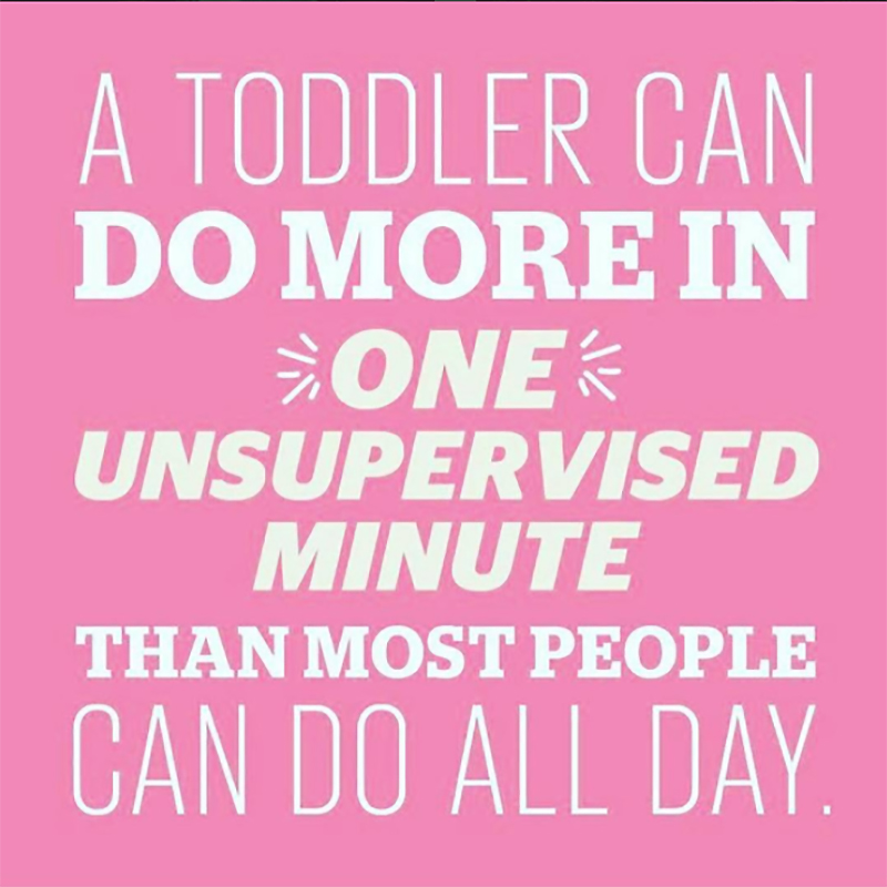 Toddlers need supervision meme
