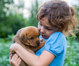 Young girl holding puppy in arms - feature