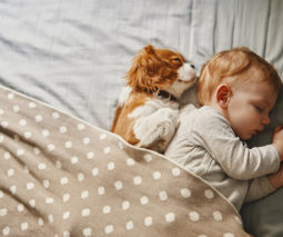 Baby asleep with puppy - feature