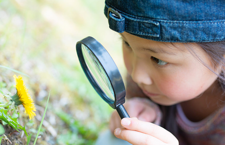 Girl using magnifying glass to look at dandelion - feature