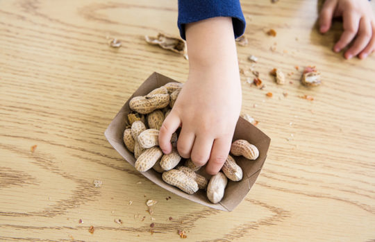 Child reaching into a bowl of peanuts - feature