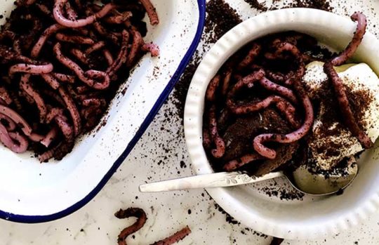 Halloween jelly worm recipe