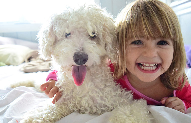 Happy toddler girl with pet dog