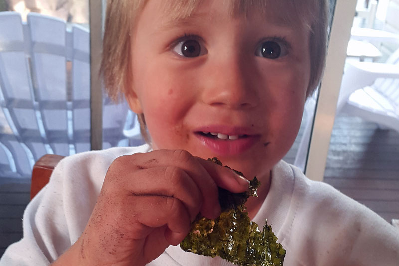 Leon eating seaweed