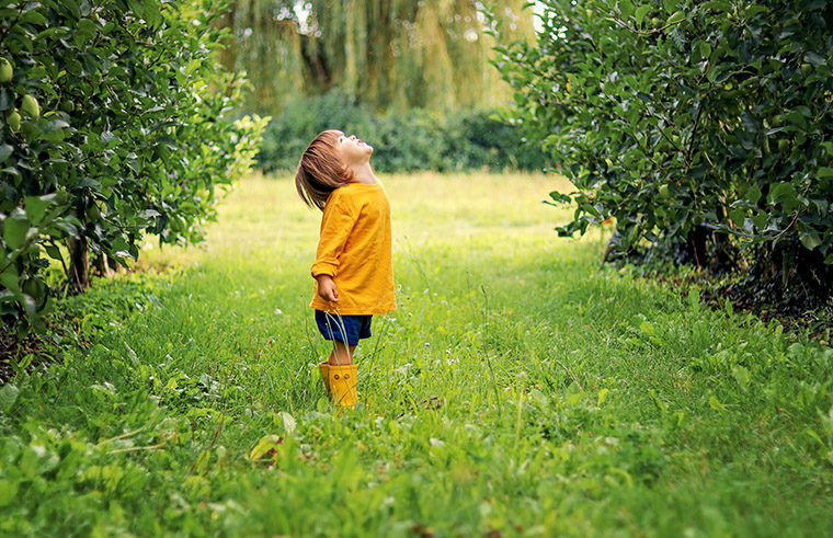 Young boy standing in orchard looking up - feature