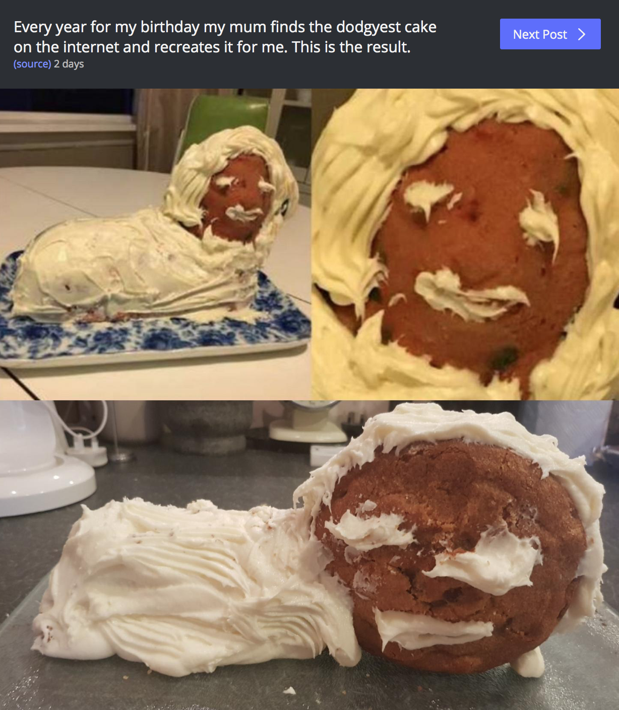 Lamb cake fail
