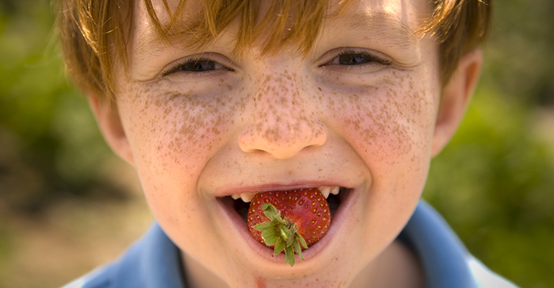Boy eating strawberry