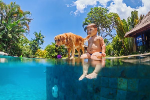 little boy swimming pool dog