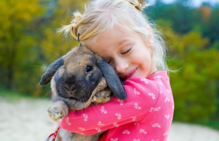 Preschool aged girl cuddling bunny rabbit