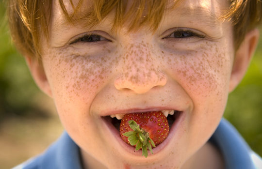 Freckly school-aged boy with strawberry in his mouth
