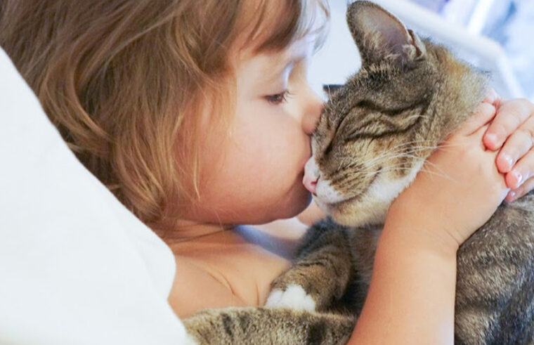 Toddler girl kissing cat