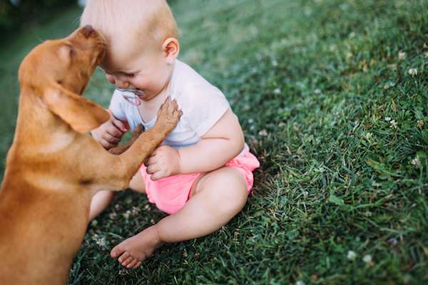 Editorial: Portrait of cute baby playing with dog on lawn
