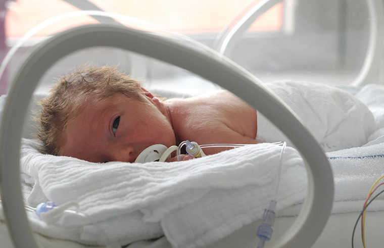 Premature baby in humidicrib - feature