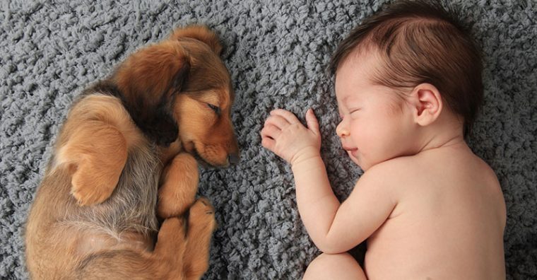 Baby and puppy sleeping