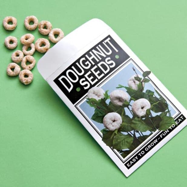 Blogger image: Doughnut seeds