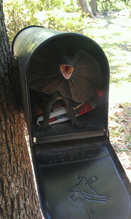 Tumbler image: Dino in the mail box