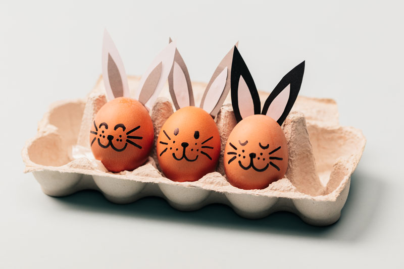 Bunny eggs