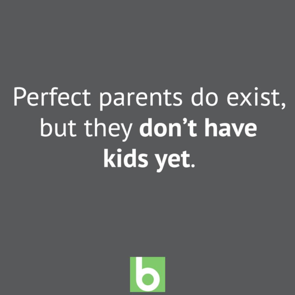 Perfect parents do exist, but they don't have kids yet