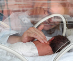 Mother hands on premature baby in incubator - feature