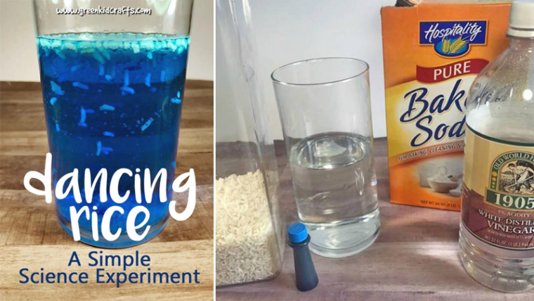 Dancing Rice science activity for kids