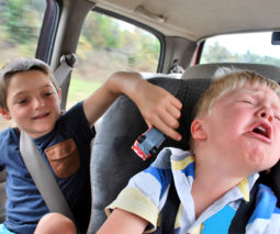 Two young boys fighting in the car