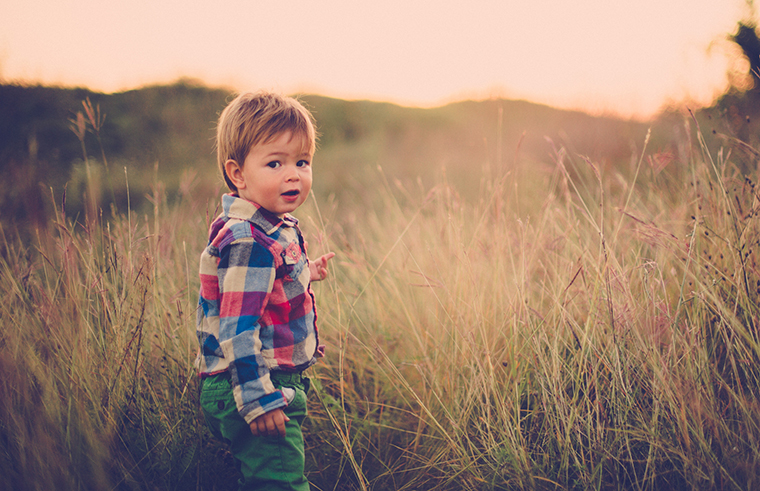 Toddler boy standing in long grass in twilight feature