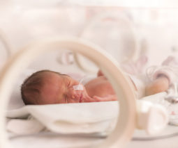 Premature baby in humidicrib feature