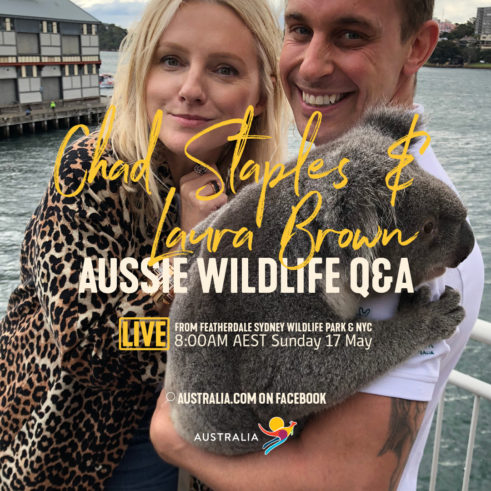 Live From Aus - Aussie Wildlife Q&A
