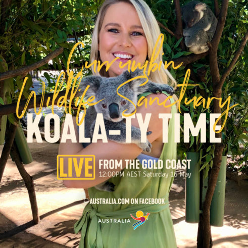 Live From Aus - Koala-Ty Time