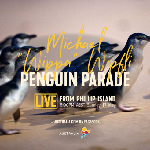 Live From Aus - Penguin Parade
