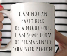 Pigeon mug - feature