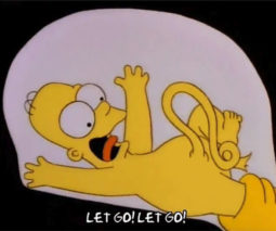The Simpsons Homer birth - feature